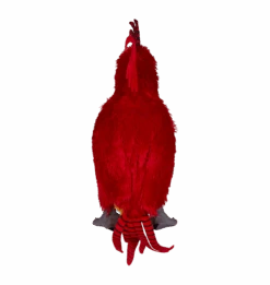 Warner Bros Fawkes Phoenix Soft Toy -Harry Potter Online Store 1229894 2