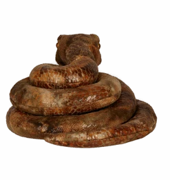 Warner Bros Nagini Snake Plush -Harry Potter Online Store 1274937 2 3b2b3a64 373d 4fb6 b3ec 029a39e1b46f