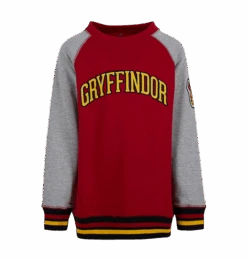 Warner Bros Kids Gryffindor Sweatshirt