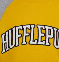 Warner Bros Kids Hufflepuff Sweatshirt -Harry Potter Online Store 1329397 4