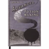 Warner Bros Advanced Potion Making Journal -Harry Potter Online Store 256012 1