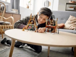 Warner Bros Hogsmeade Village Visit LEGO -Harry Potter Online Store 76388 lifestyle cons