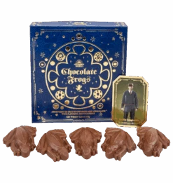 Warner Bros Harry Potter Bear And Chocolate Frog Box -Harry Potter Online Store ChocFrogSelectionBox
