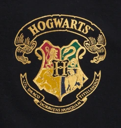 Warner Bros Hogwarts Adult Spirit Jersey -Harry Potter Online Store Hogwarts FLC1