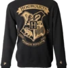 Warner Bros Hogwarts Striped Sleeve Sweatshirt -Harry Potter Online Store HogwartsSweatshirt 486924e9 d10c 4ee2 9331 815515cc3ff1