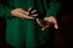 Warner Bros The Slytherin Mascot Wand -Harry Potter Online Store Optimized WBST HPNY 14.09.20 hires 3x2 1677