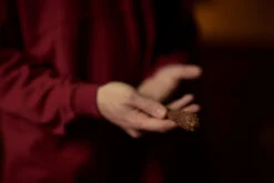 Warner Bros The Gryffindor Mascot Wand -Harry Potter Online Store Optimized WBST HPNY 14.09.20 hires 3x2 1787