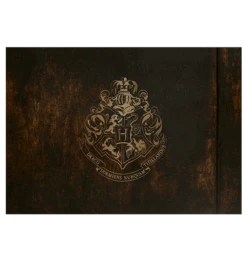 Warner Bros Personalised Hogwarts Acceptance Letter 12 Warner Bros Personalised Hogwarts Acceptance Letter -Harry Potter Online Store PL00010246 3 c06b69be b564 48e9 9042 842cf994f885