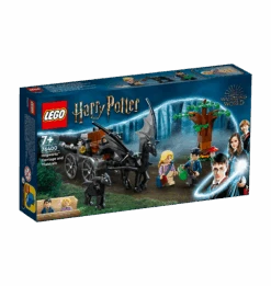 Warner Bros Hogwarts Carriage And Thestrals LEGO