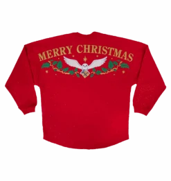 Warner Bros Christmas Spirit Jersey