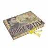 Warner Bros Harry Potter Artefact Box -Harry Potter Online Store filmartifactbox