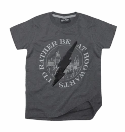 Warner Bros Kids Lightning Bolt Sequin Reverse T-Shirt -Harry Potter Online Store gray hog tee f1