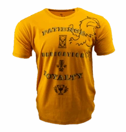 Warner Bros Hufflepuff Attribute T-Shirt