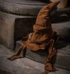Warner Bros Animated Sorting Hat -Harry Potter Online Store product PRIDE hat1