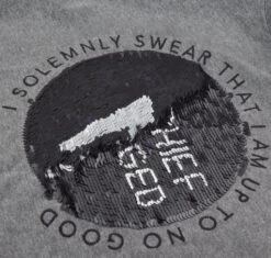 Warner Bros Kids Marauder's Map Sequin Reverse T-shirt -Harry Potter Online Store swearteezhalfwaythru